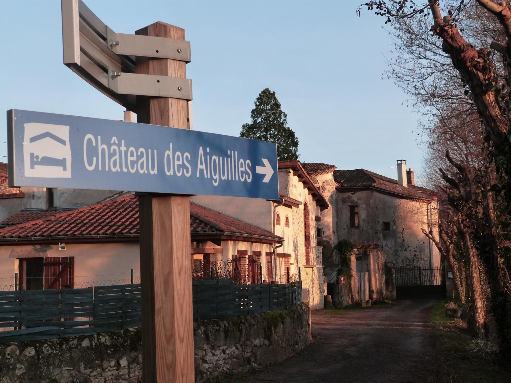 Chateau Des Aiguilles Saint-Remy-de-Chargnat Ngoại thất bức ảnh